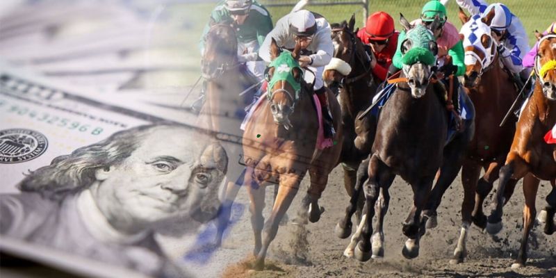 Thông tin về cá cược horse racing tại I9bet